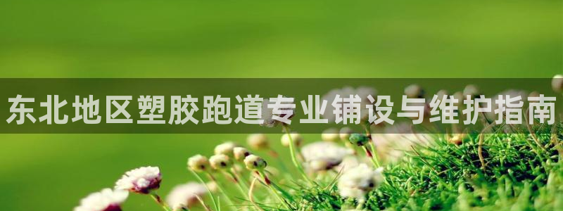 谈球吧是正规平台吗知乎：东北地区塑胶跑道专业铺设与维