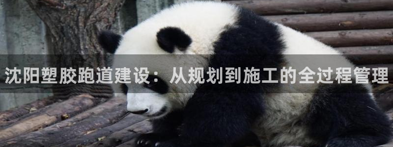 谈球吧体育官方入口