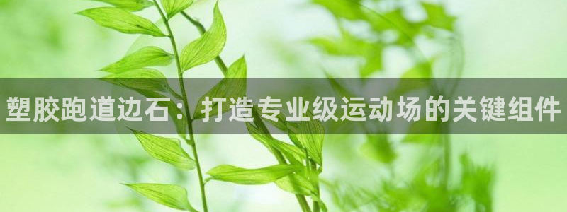 谈球吧体育app下载中心官方网站：塑胶跑道边石：打造