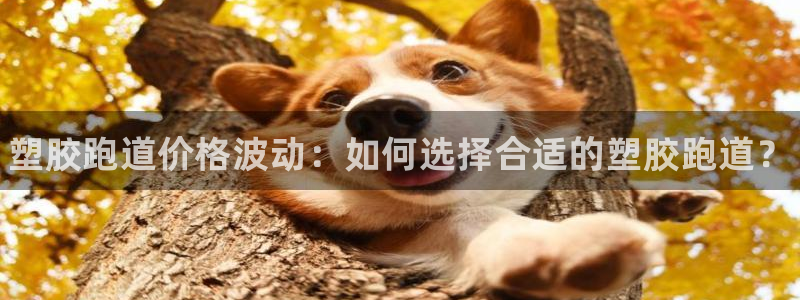 谈球吧算违法行为吗知乎