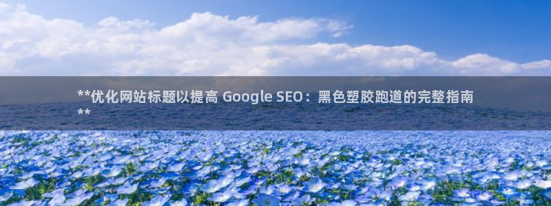 谈球吧咋样：**优化网站标题以提高 Google SEO：黑