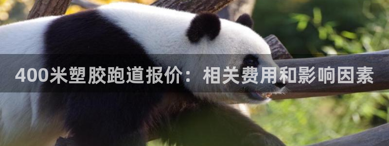 谈球吧首充金额截图：400米塑胶跑道报价：相关费用和影响因素