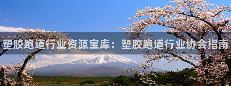 谈球吧体育app下载足球：塑胶跑道行业资源宝库：塑胶跑道行业