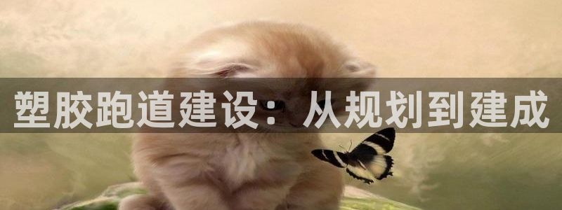 谈球吧体育ios下载