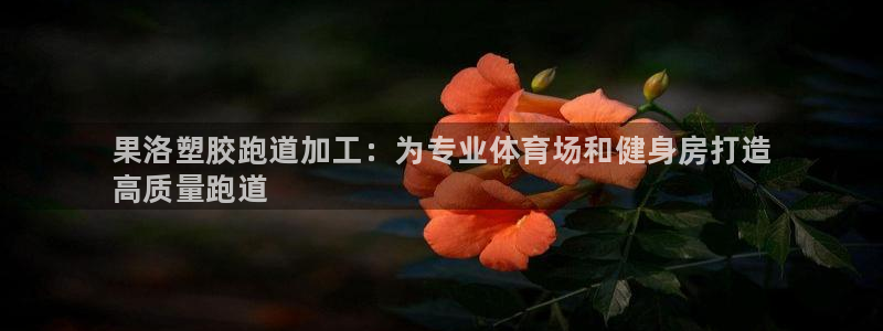 谈球吧体育app下载官网手机版苹果：果洛塑胶跑道加工