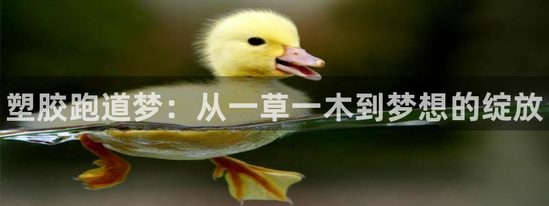 谈球吧属于哪个旗下的品牌：塑胶跑道梦：从一草一木到梦