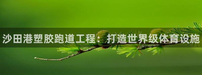 谈球吧综合官网app：沙田港塑胶跑道工程：打造世界级
