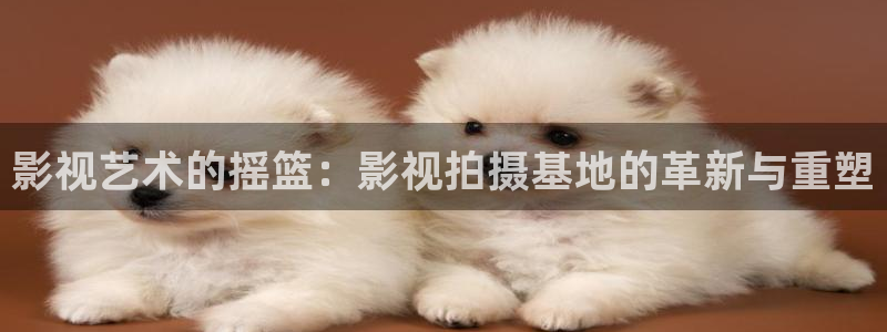 伊人影院2020：影视艺术的摇篮：影视拍摄基地的革新与重塑