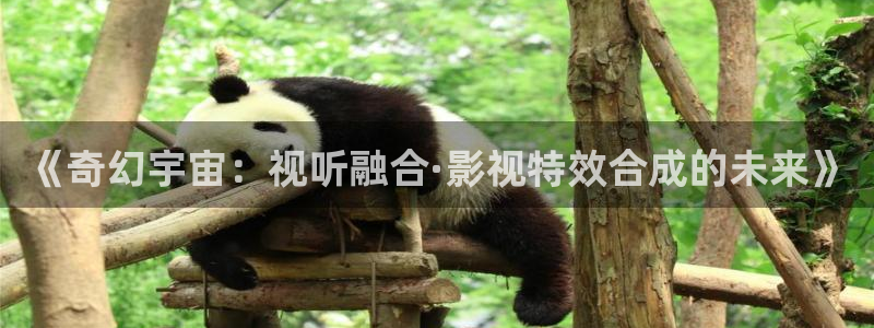 伊人影院网址亚洲：《奇幻宇宙：视听融合·影视特效合成的未来》
