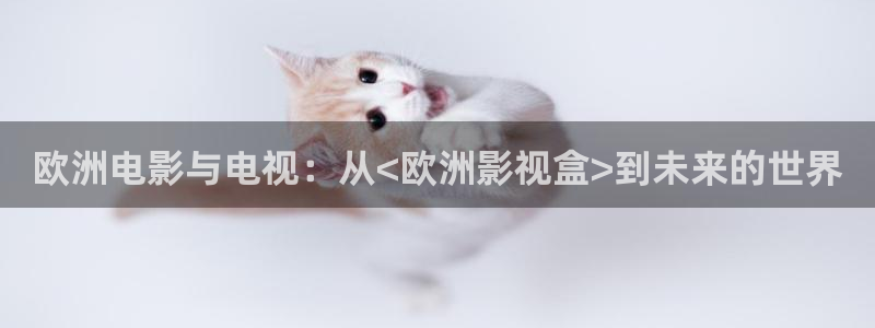 伊人影院在线视频观看：欧洲电影与电视：从<欧洲影视盒>到未来的世界
