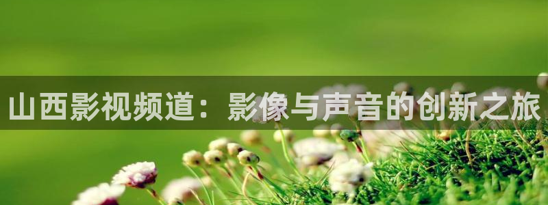 人体艺术伊人影视：山西影视频道：影像与声音的创新之旅
