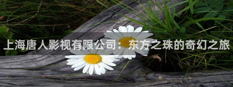 伊人影院国产色：上海唐人影视有限公司：东方之珠的奇幻之旅