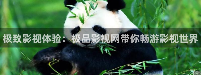 伊人影院97：极致影视体验：极品影视网带你畅游影视世界